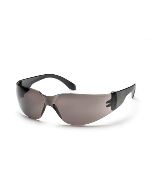 Lunettes de Protection Professionnelle
